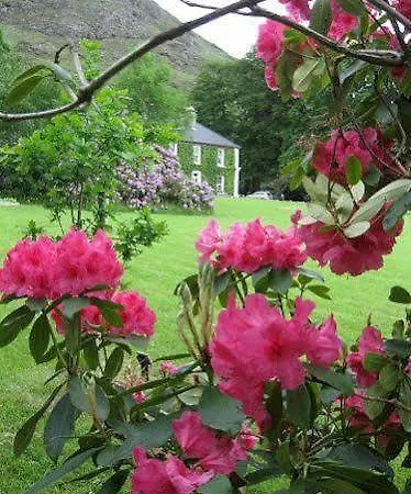 酒店 德尔福旅馆 4*