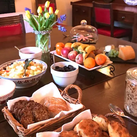 德尔福旅馆 4* 里南