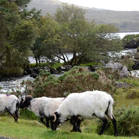 فندق Delphi لينوان