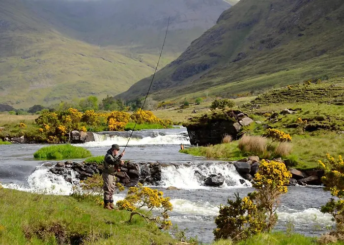 Отель Delphi 4*