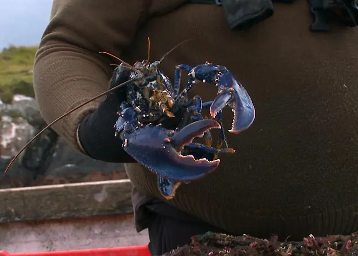 Delphi Отель Линон