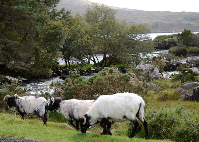 Hotel Delphi Leenaun